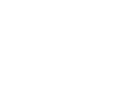 Providing a comprehensive mentoring team